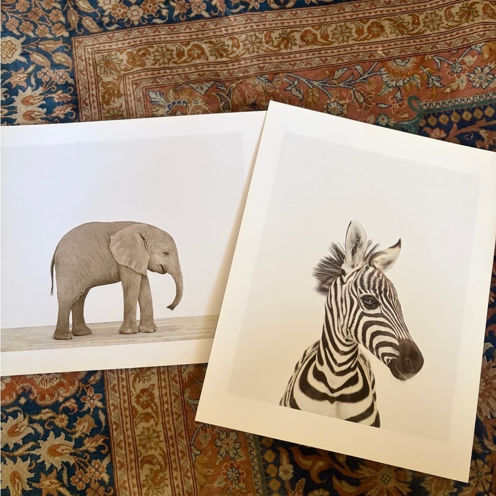 Two original prints by Sharon Montrose for The Animal Print Studio. 8.5 x 11
